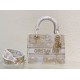 Perfette Qualità Repliche Dior Media Borsa Lady D-Lite Ricamo Jardin d'Hiver Oro Imitazione