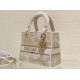 Perfette Qualità Repliche Dior Media Borsa Lady D-Lite Ricamo Jardin d'Hiver Oro Imitazione