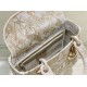 Perfette Qualità Repliche Dior Media Borsa Lady D-Lite Ricamo Jardin d'Hiver Oro Imitazione