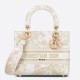 Perfette Qualità Repliche Dior Media Borsa Lady D-Lite Ricamo Jardin d'Hiver Oro Imitazione