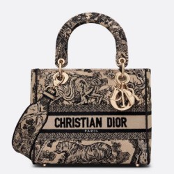 Perfette Qualità Repliche Dior Media Borsa Lady D-Lite Ricamo Toile de Jouy Marrone Imitazione