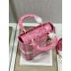 Migliore Repliche Dior Borsa Lady D-Lite Media Toile de Jouy Ricamo Rovescio Rosa Economiche Outlet Online