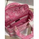 Migliore Repliche Dior Borsa Lady D-Lite Media Toile de Jouy Ricamo Rovescio Rosa Economiche Outlet Online