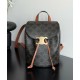 Replica perfetta Zaino Celine Celine Bonnie Triomphe Canvas Coffee Imitazione Outlet Online
