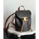 Replica perfetta Zaino Celine Celine Bonnie Triomphe Canvas Coffee Imitazione Outlet Online