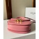 Perfette Qualità Repliche Borsa Celine Mini Besace Clea Shiny Imitazione