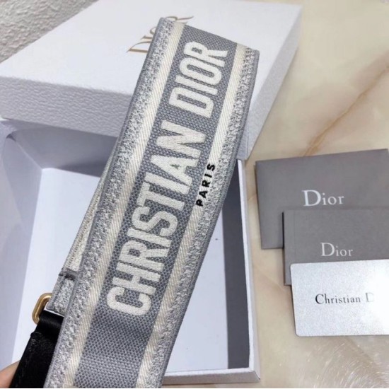 Miglior Falso Christian Dior Tracolla Grigio Economiche Premium