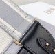 Miglior Falso Christian Dior Tracolla Grigio Economiche Premium