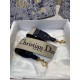 Dior Tracolla Dior Velluto Ricamato Obliquo Blu Replica originale di alta qualità Miglior Falso Dior Tracolla Dior Velluto Ricamato Obliquo Blu Economiche Premium