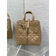 Perfette Qualità Repliche Borsa tote verticale Dior piccola/media Dior Toujours marrone Imitazione