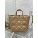 Perfette Qualità Repliche Borsa tote verticale Dior piccola/media Dior Toujours marrone Imitazione