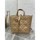 Perfette Qualità Repliche Borsa tote verticale Dior piccola/media Dior Toujours marrone Imitazione