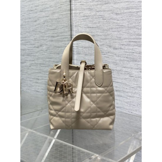 Perfette Qualità Repliche Borsa tote verticale Dior piccola/media Dior Toujours albicocca Imitazione