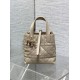 Perfette Qualità Repliche Borsa tote verticale Dior piccola/media Dior Toujours albicocca Imitazione