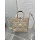 Perfette Qualità Repliche Borsa tote verticale Dior piccola/media Dior Toujours albicocca Imitazione