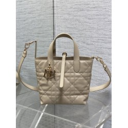Perfette Qualità Repliche Borsa tote verticale Dior piccola/media Dior Toujours albicocca Imitazione