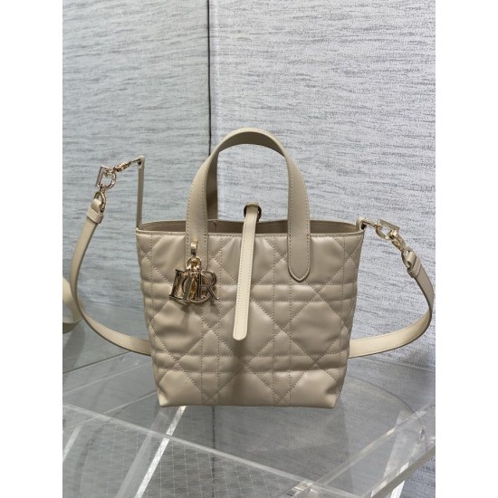 Perfette Qualità Repliche Borsa tote verticale Dior piccola/media Dior Toujours albicocca Imitazione