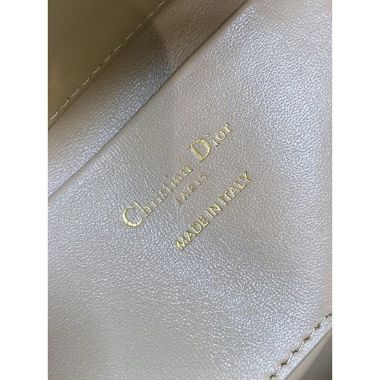 Perfette Qualità Repliche Borsa tote verticale Dior piccola/media Dior Toujours albicocca Imitazione