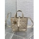 Perfette Qualità Repliche Borsa tote verticale Dior piccola/media Dior Toujours albicocca Imitazione