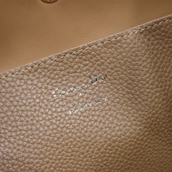 Replica Borsa a secchiello Dior Signature piccola/media marrone Imitazioni Falso