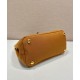 Replica Borsa a mano Prada Jardiniere Mini in tela di cotone Caffè imitazione False Online