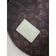 Replica Borsa Louis Vuitton Express PM M26905 Beige