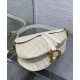 Replica Borsa Dior Saddle con tracolla Crema