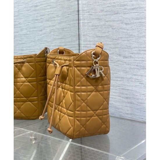 Replica Borsa Christian Dior D-Motion media caffè