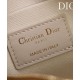 Replica Borsa Christian Dior D-Vibe East-West Nano blu