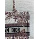 Perfette Qualità Repliche Borsa tote media Dior Book Ricamo Dior 4 Saisons Hiver Soleil Imitazione