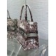 Perfette Qualità Repliche Borsa tote media Dior Book Ricamo Dior 4 Saisons Hiver Soleil Imitazione