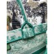 Migliore Repliche Borsa Dior media Dioriviera Book Tote Aquamarina Ricamo Toile de Jouy Economiche Outlet Online