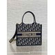 Miglior Falso Borsa tote Dior piccola per libri con tracolla in tela blu Dior Oblique Economiche Premium