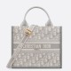 Migliore Repliche Borsa Dior piccola Book Tote con tracolla Tela Dior Oblique grigia Economiche Outlet Online