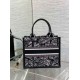 Replica perfetta Borsa Dior piccola Book Tote con tracolla Ricamo Plan de Paris e pelle di vitello nera Imitazione Outlet Online