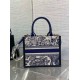 Replica perfetta Dior Small Book Tote Bag con tracolla Toile de Jouy Sauvage Embroidery con pelle di vitello blu Imitazione Outlet Online