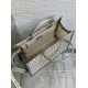 Migliore Repliche Dior Medium Book Tote Bag con tracolla Oblique Embroidery e pelle di vitello grigia Economiche Outlet Online