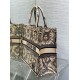 Replica perfetta Borsa tote grande per libri Dior Beige Ricamo Toile de Jouy Soleil Imitazione Outlet Online