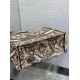 Replica perfetta Borsa tote grande per libri Dior Beige Ricamo Toile de Jouy Soleil Imitazione Outlet Online
