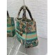 Miglior Falso Dior Dioriviera Lady D-Lite Medium Bag Raffia con ricamo Toile de Jouy Sauvage verde Economiche Premium