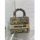 Migliore Repliche Borsa Dior Dioriviera Lady D-Lite Media Raffia con Ricamo Toile de Jouy Sauvage Lime Economiche Outlet Online