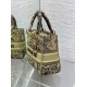 Migliore Repliche Borsa Dior Dioriviera Lady D-Lite Media Raffia con Ricamo Toile de Jouy Sauvage Lime Economiche Outlet Online