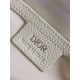 Miglior Falso Borsa Messenger da uomo Dior con patta Beige Gravity Economiche Premium