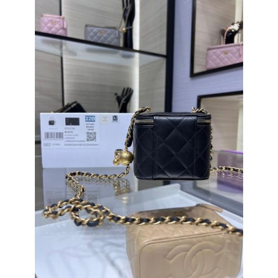 Replica perfetta Borsa Mini Vanity Case AP1147 nera Imitazione Outlet Online