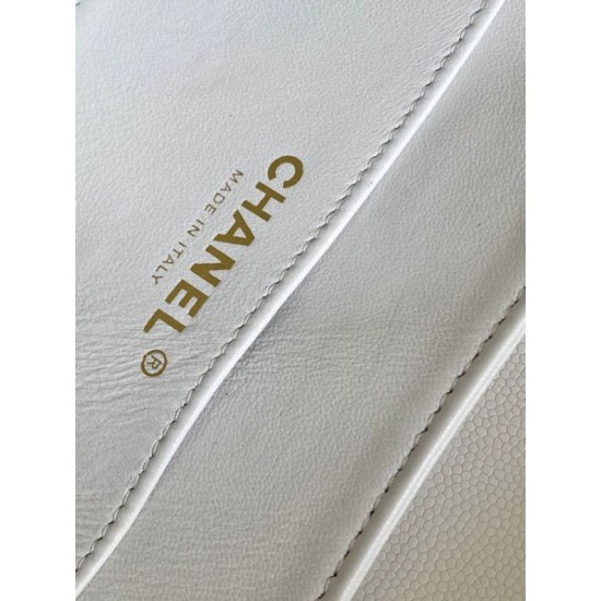 Perfette Qualità Repliche Borsa piccola con patta e manico superiore AS4038 Bianco Imitazione