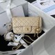 Perfette Qualità Repliche Borsa AS1787 Mini con patta albicocca Imitazione