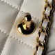 Repliche Mini borsa con patta e manico superiore AS4847 Imitazioni Premium Replica perfetta Mini borsa con patta e manico superiore AS4847 Imitazione Outlet Online
