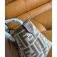 Miglior Falso Fendi Mini Roll 8BS096 Albicocca Economiche Premium