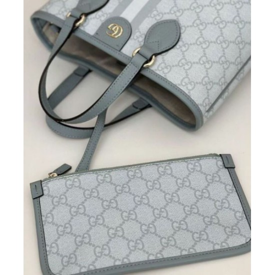 Perfette Qualità Repliche Borsa tote mini Gucci serie Ophidia Blu Imitazione