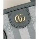 Perfette Qualità Repliche Borsa tote mini Gucci serie Ophidia Blu Imitazione